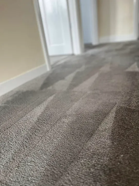 A hallway carpet after cleaning