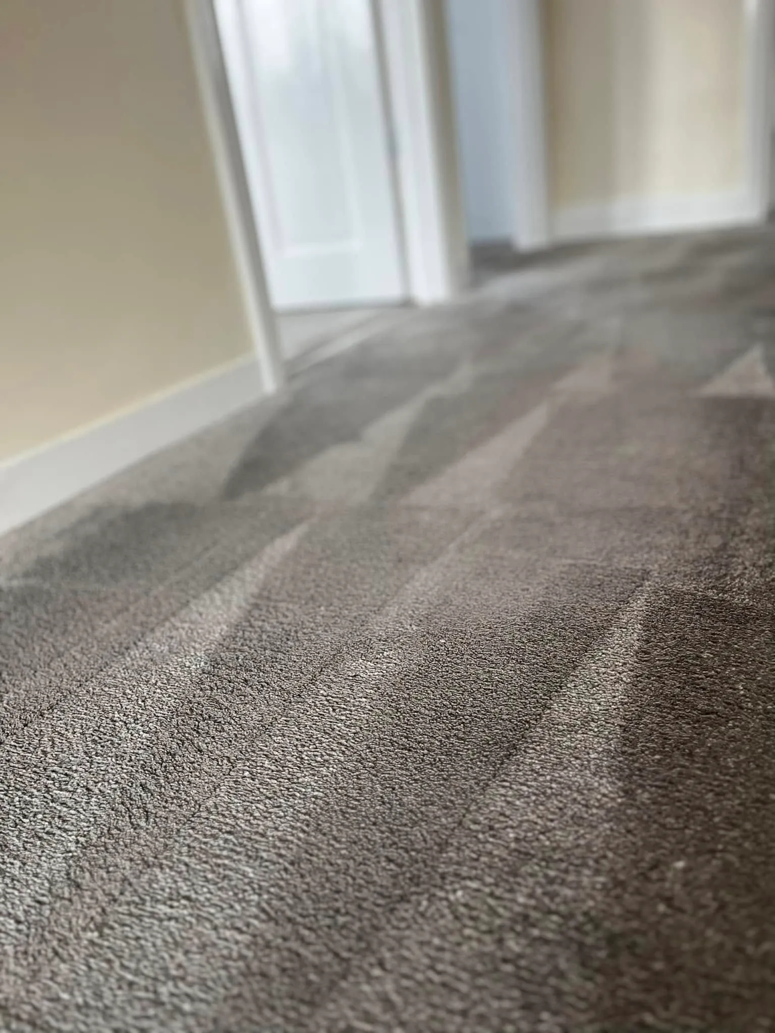 Hallway carpet after cleaning