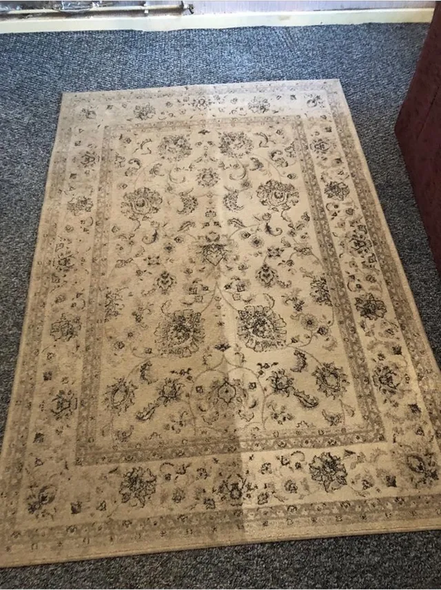 Rug with one half cleaned and the other half not yet cleaned